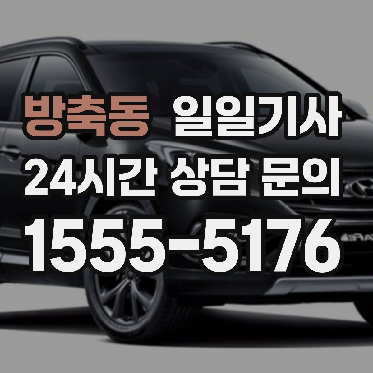 방축동 일일기사 급가속 없는 정숙 주행