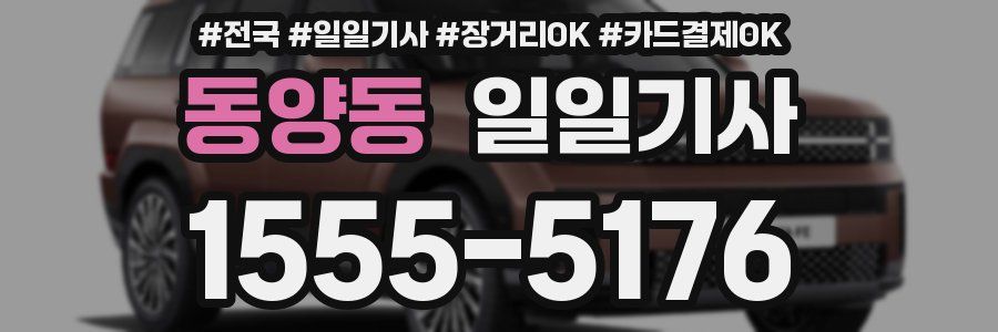 동양동 일일기사