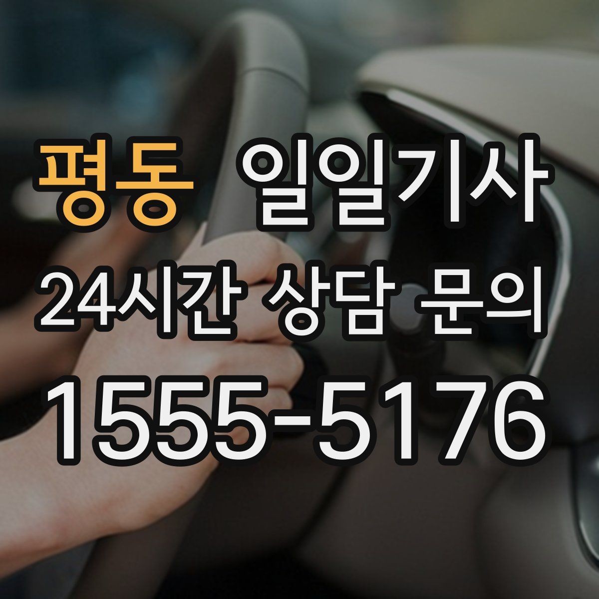 평동 일일기사 의전 성격 일정 품격 유지