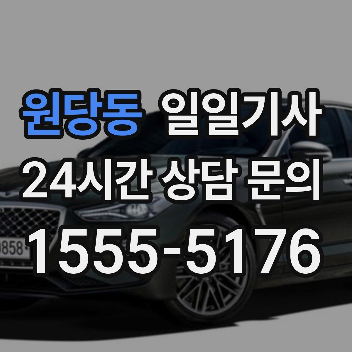 원당동 일일기사 장보기와 병원 일정 연계