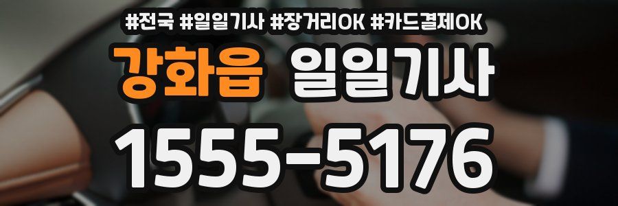 강화읍 일일기사