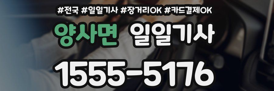 양사면 일일기사