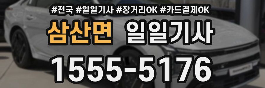 삼산면 일일기사