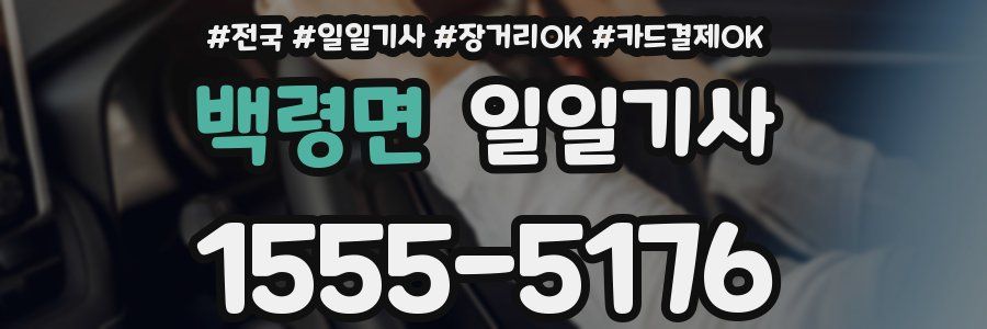 백령면 일일기사