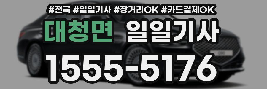 대청면 일일기사