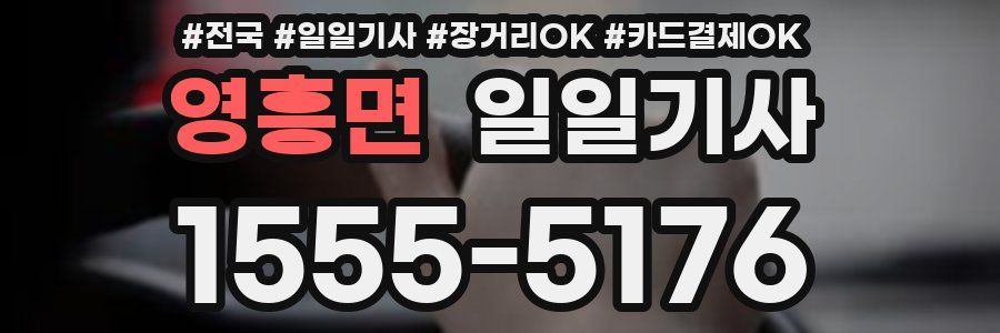 영흥면 일일기사