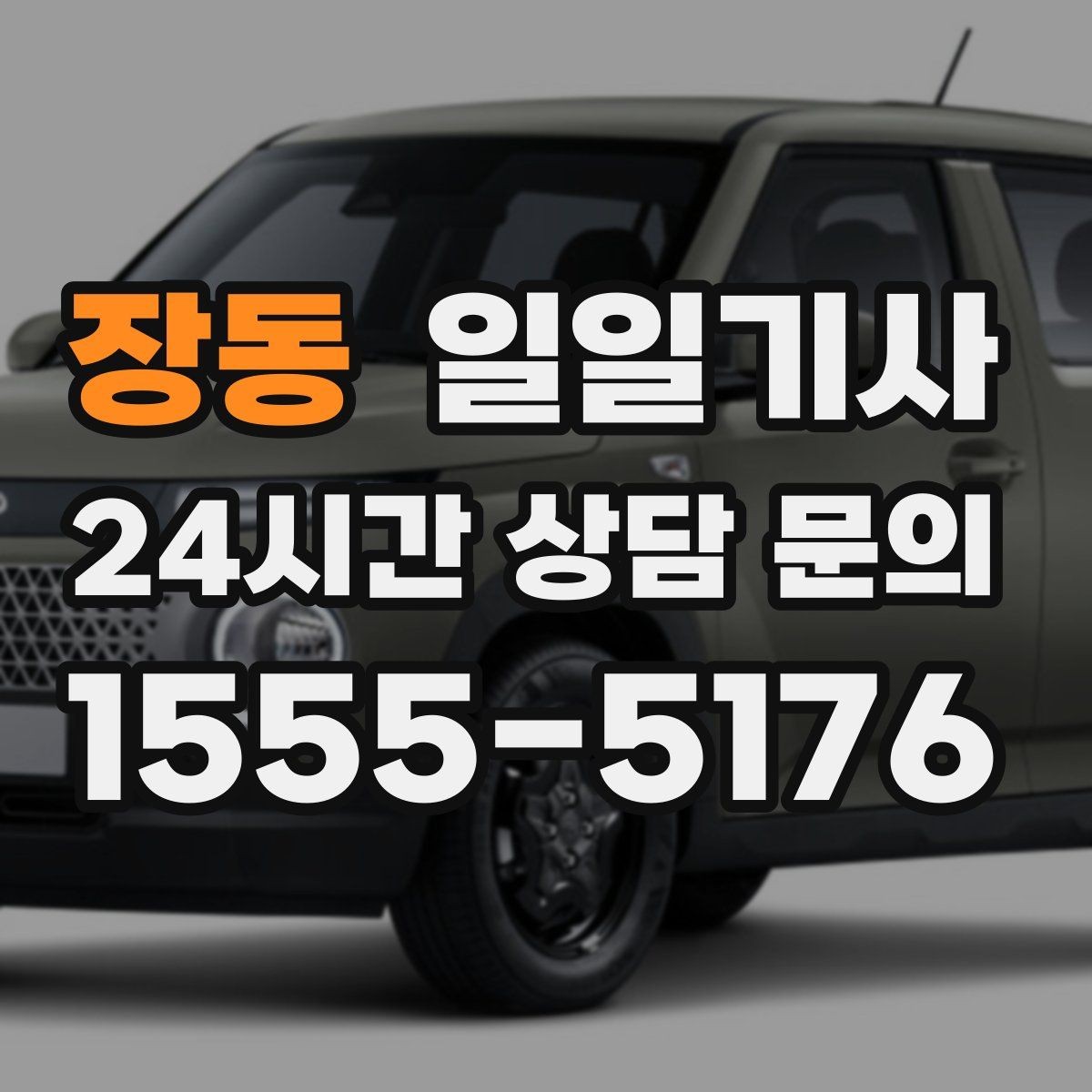 장동 일일기사 데이터로 고른 경로가 든든해요
