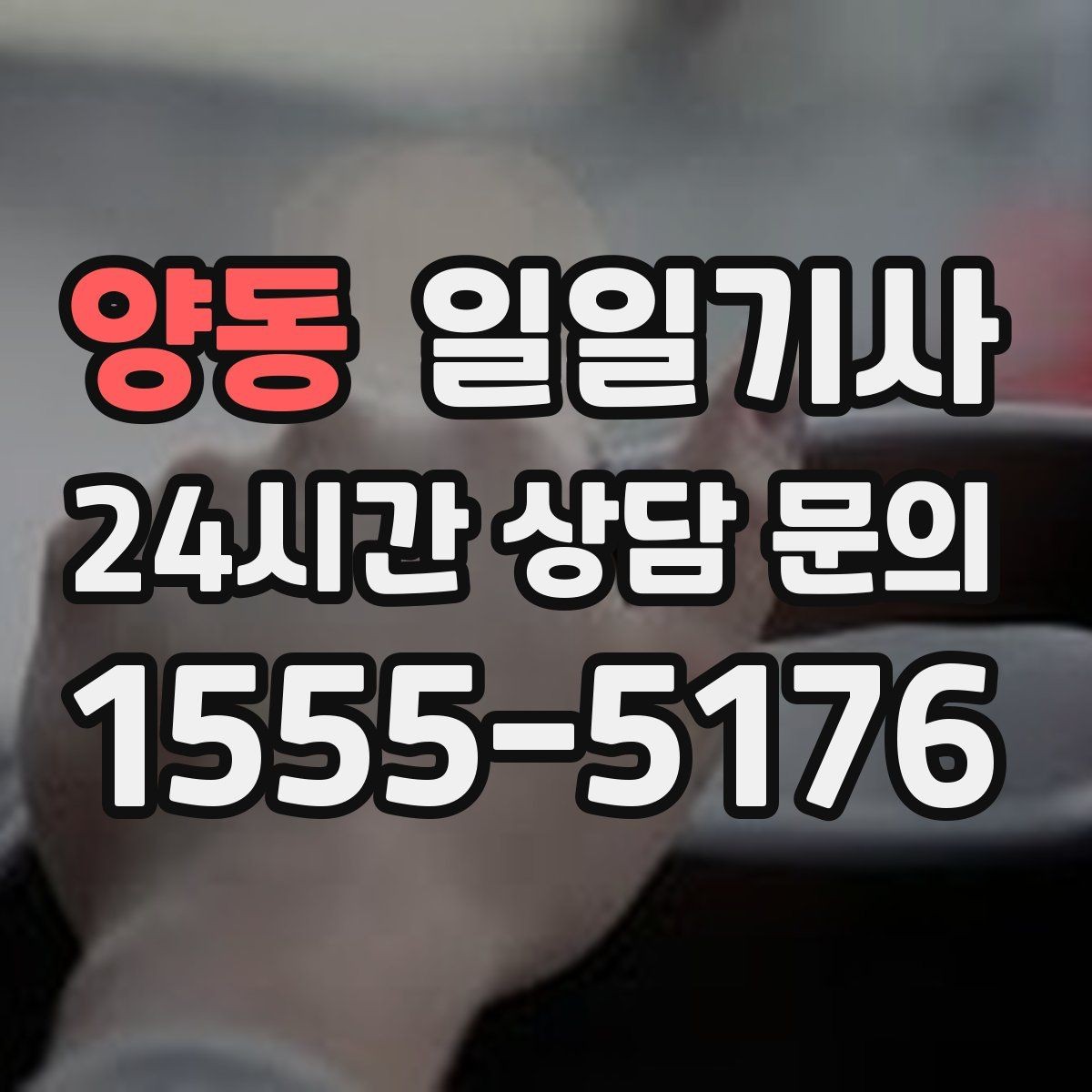 양동 일일기사 반일 오후 동행으로 여유 확보