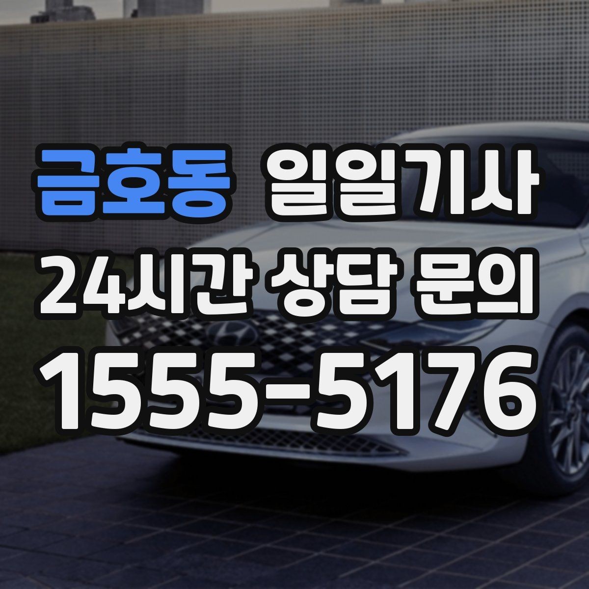 금호동 일일기사 반일 오후 동행으로 여유 확보