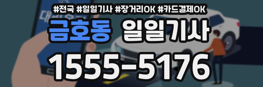 금호동 일일기사