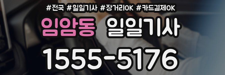 임암동 일일기사