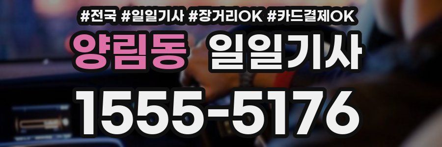 양림동 일일기사