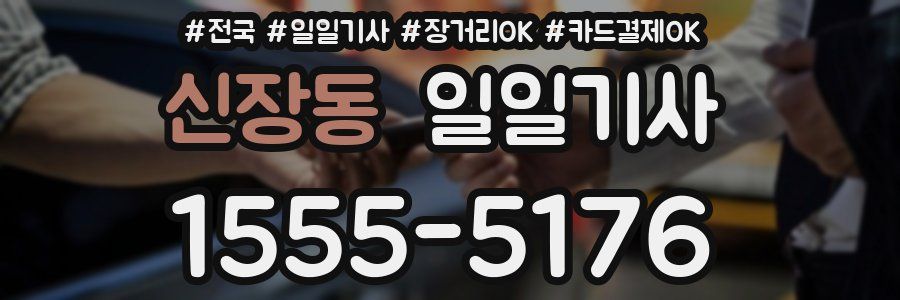 신장동 일일기사