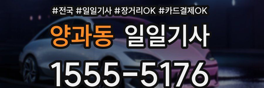 양과동 일일기사
