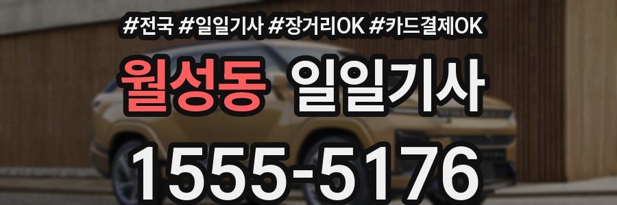 월성동 일일기사