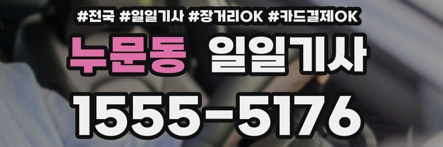 누문동 일일기사