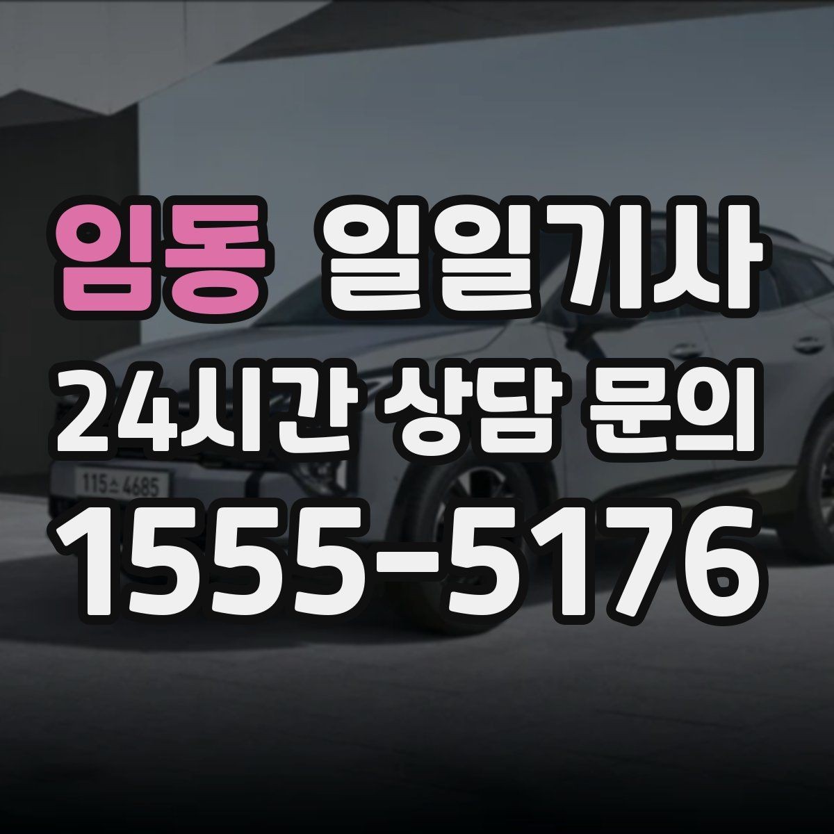 임동 일일기사 고객 응대 집중 지원