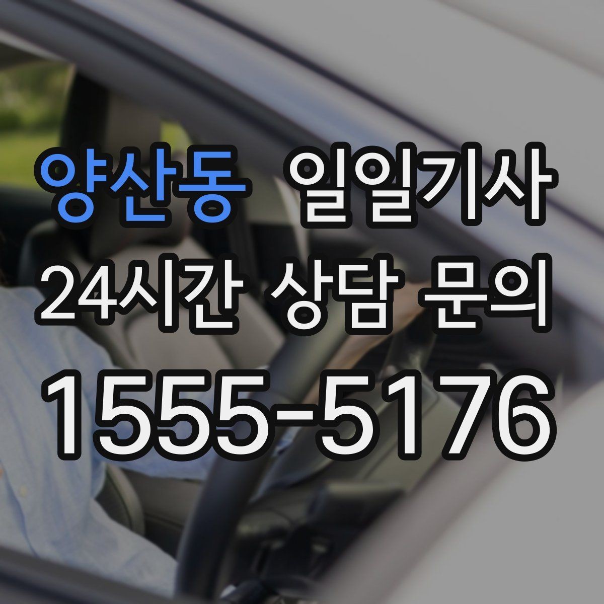 양산동 일일기사 반일 동행으로 오후가 한결 여유로운 날