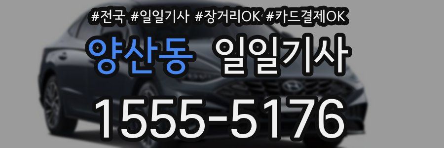 양산동 일일기사