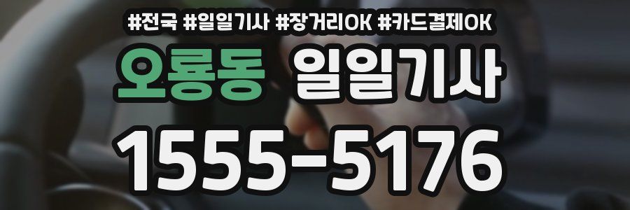 오룡동 일일기사