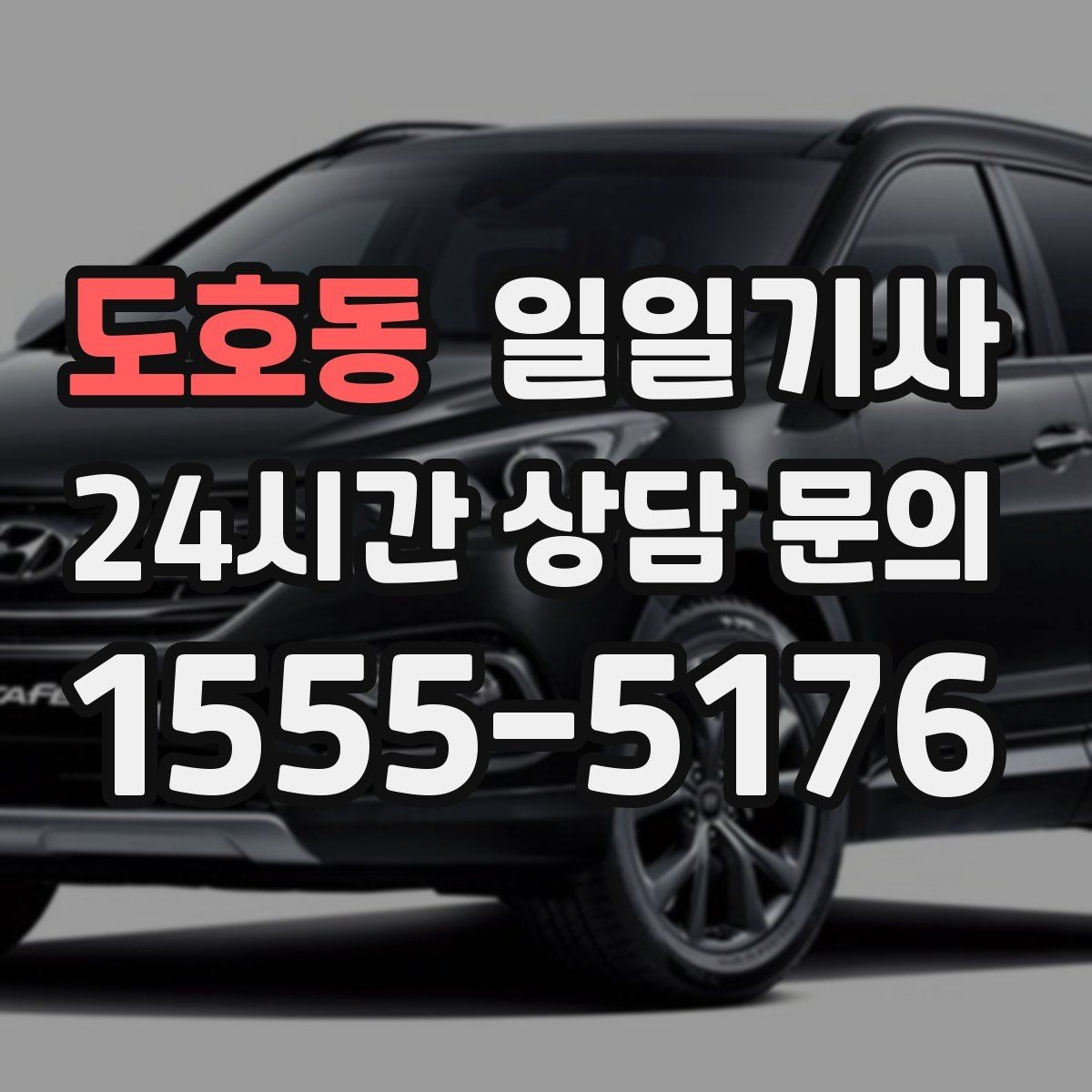 도호동 일일기사 초행길도 능숙한 경로