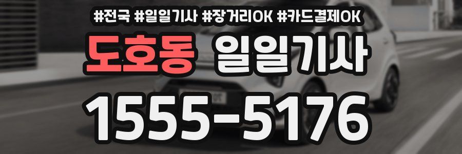 도호동 일일기사