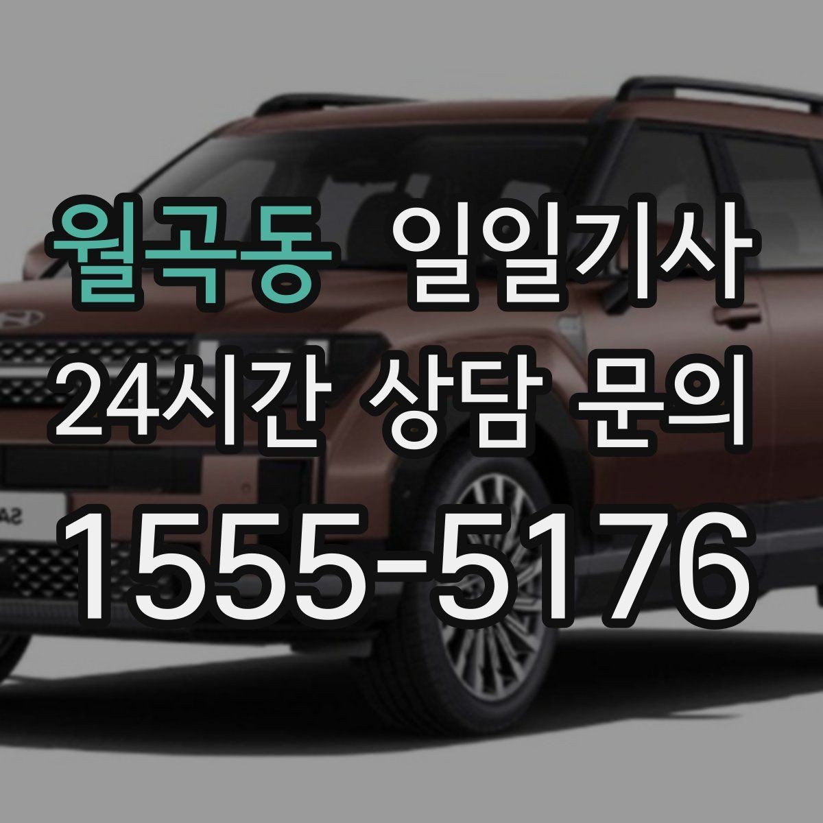 월곡동 일일기사 문 앞 픽업 도어 투 도어