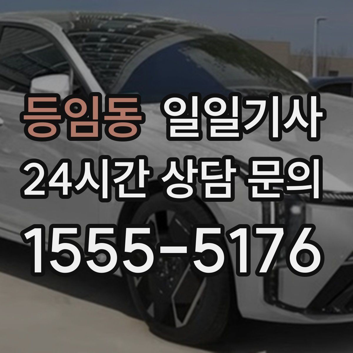 등임동 일일기사 도심 픽업존 만나기 쉬운 동행