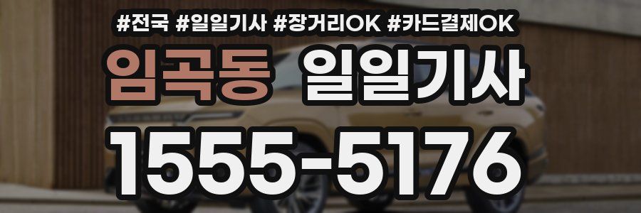 임곡동 일일기사