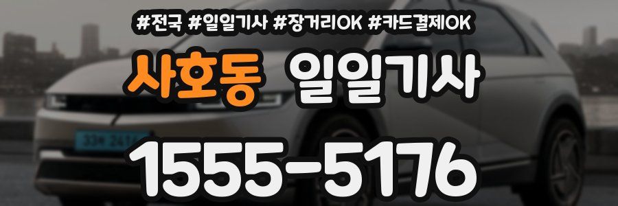 사호동 일일기사