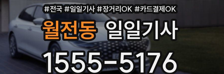 월전동 일일기사