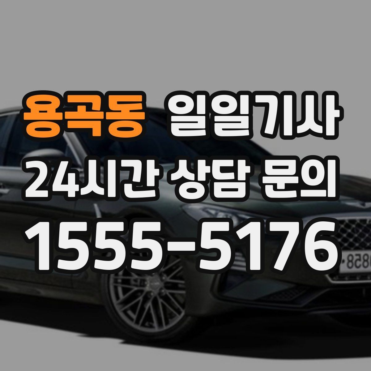 용곡동 일일기사 외지 복귀까지 차분히 이어지는 길