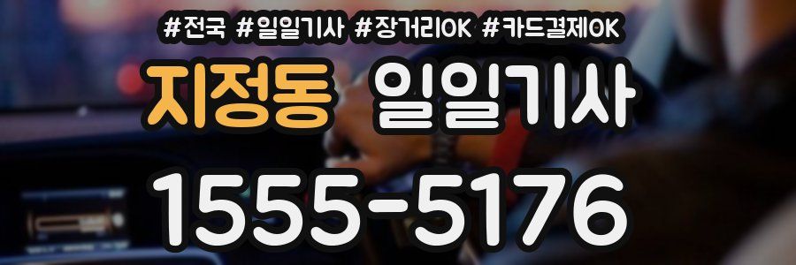 지정동 일일기사