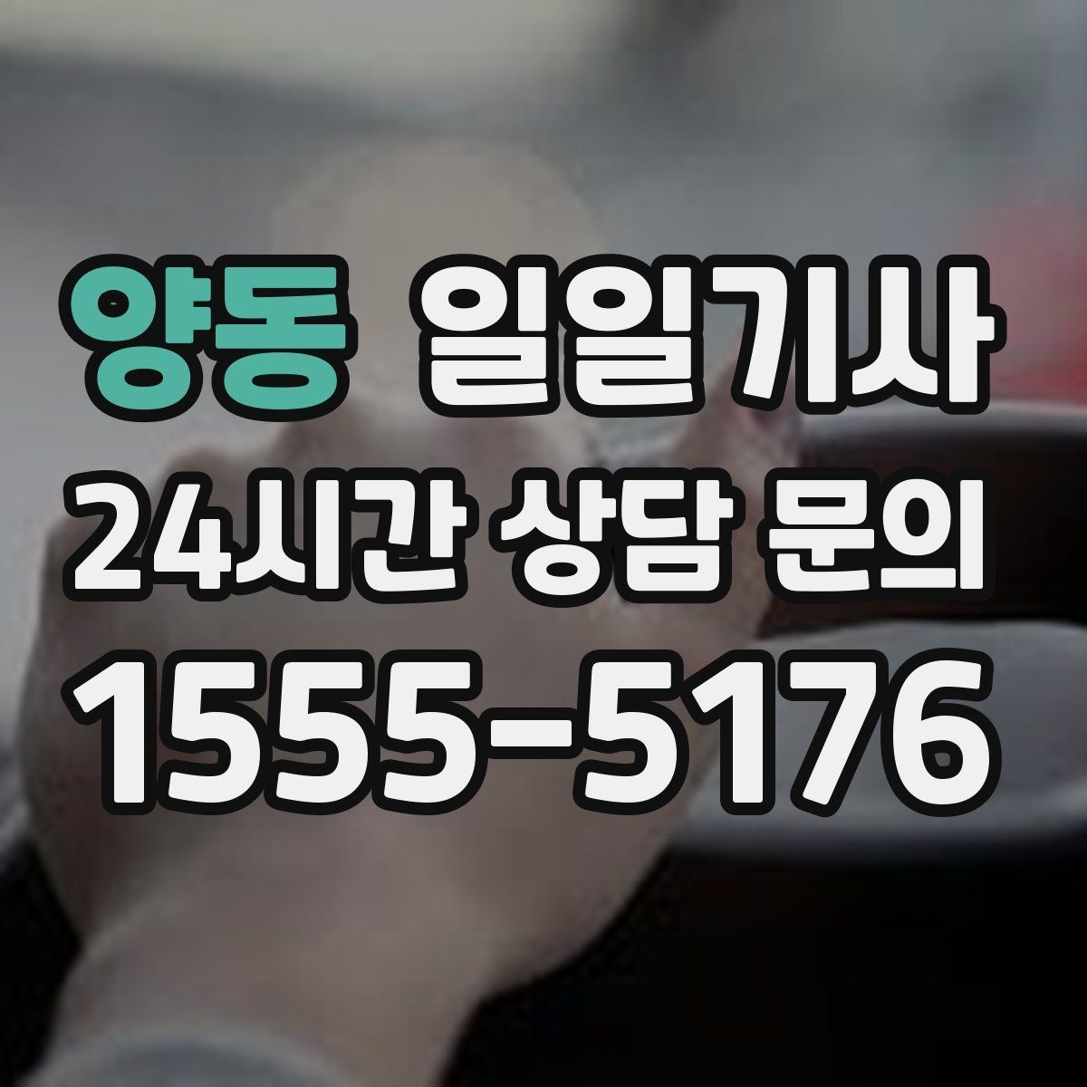 양동 일일기사 의전 성격 일정 품격 유지