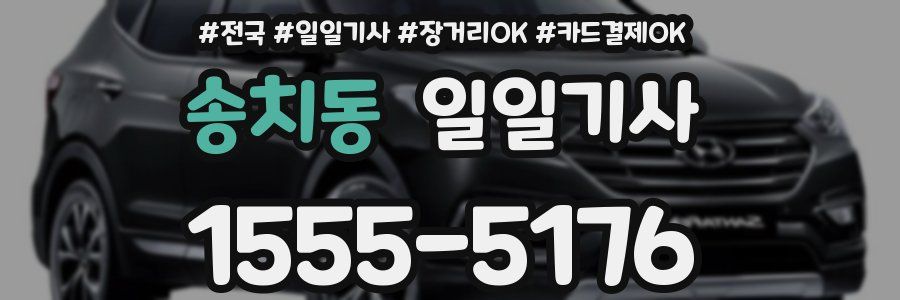 송치동 일일기사