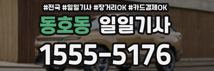 동호동 일일기사