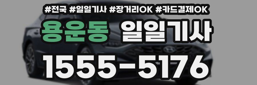 용운동 일일기사