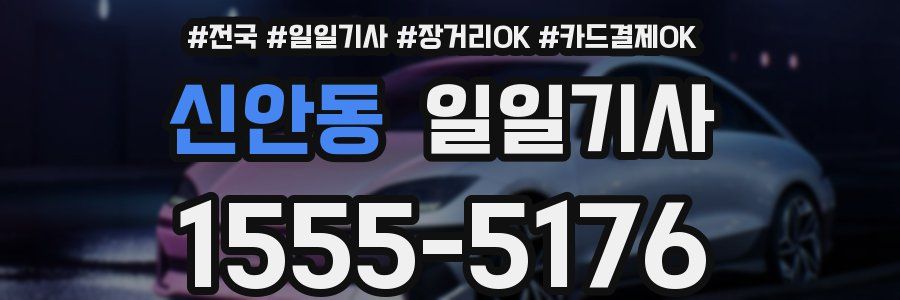 신안동 일일기사