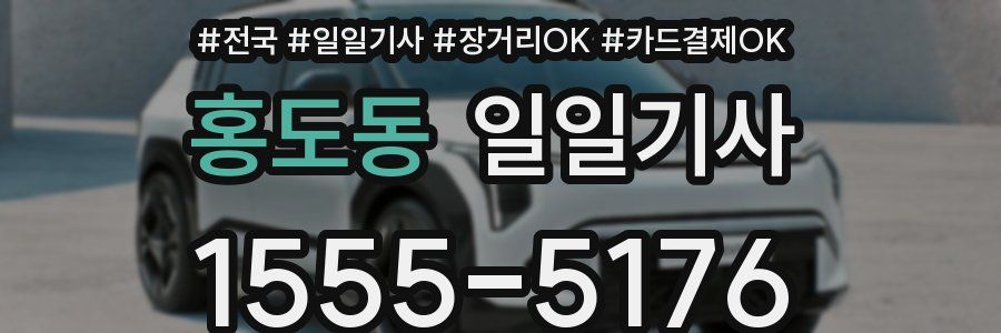 홍도동 일일기사