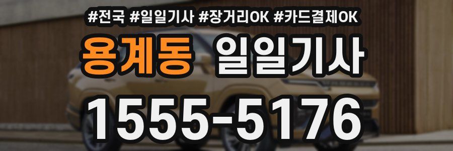 용계동 일일기사