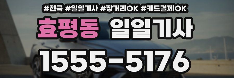 효평동 일일기사