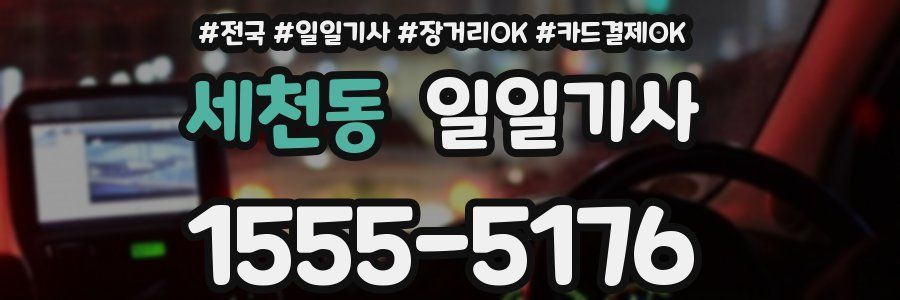 세천동 일일기사