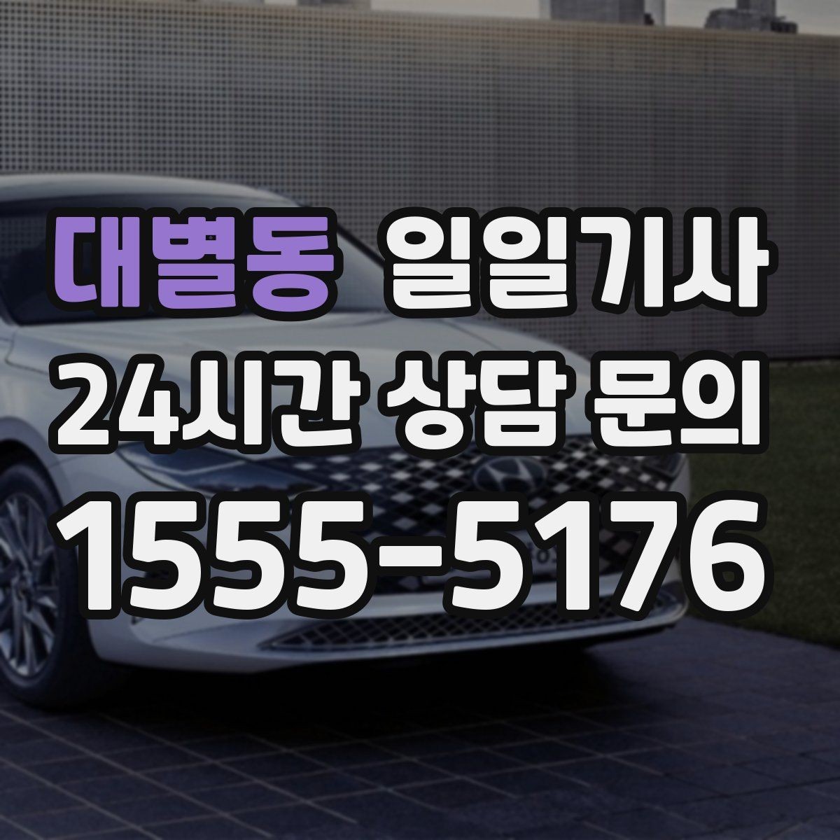 대별동 일일기사 눈 오는 밤에도 차분한 주행
