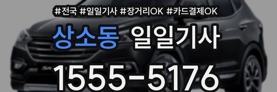 상소동 일일기사