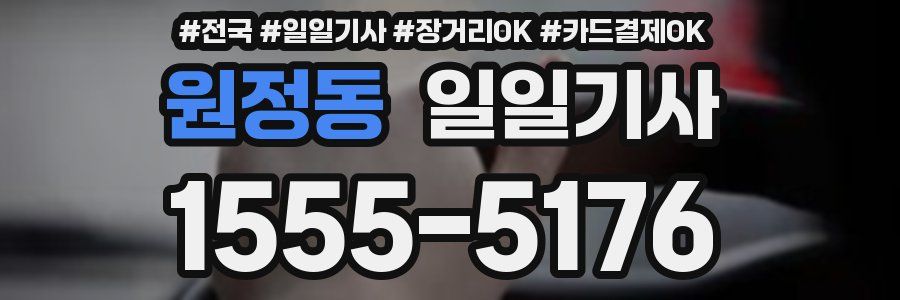 원정동 일일기사