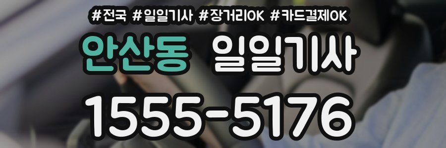 안산동 일일기사