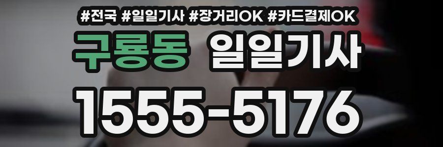 구룡동 일일기사