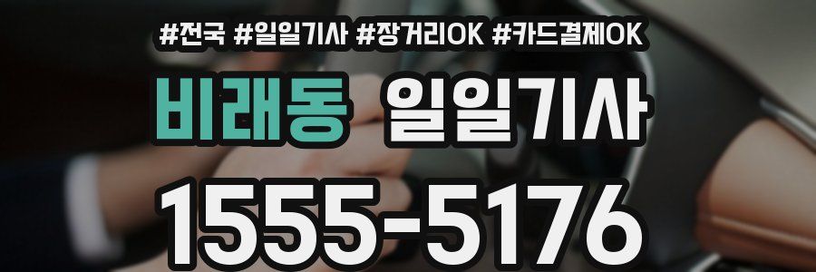 비래동 일일기사