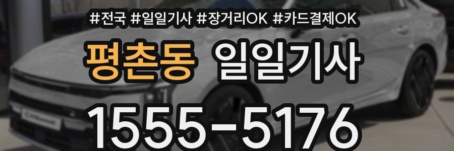 평촌동 일일기사