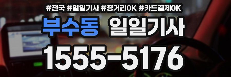 부수동 일일기사